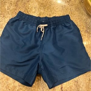 Men's Chubbies Swim Trunks